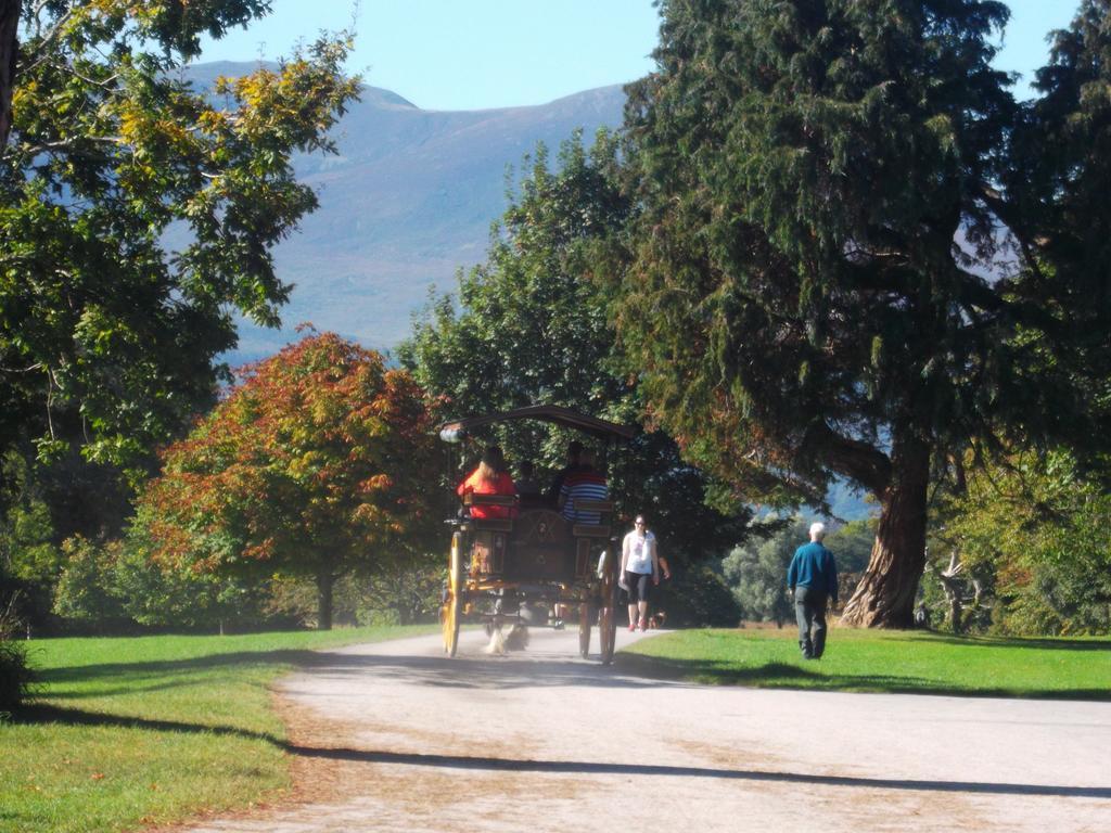 No 1 Killarney Holiday Village Vacation Home Ruang foto