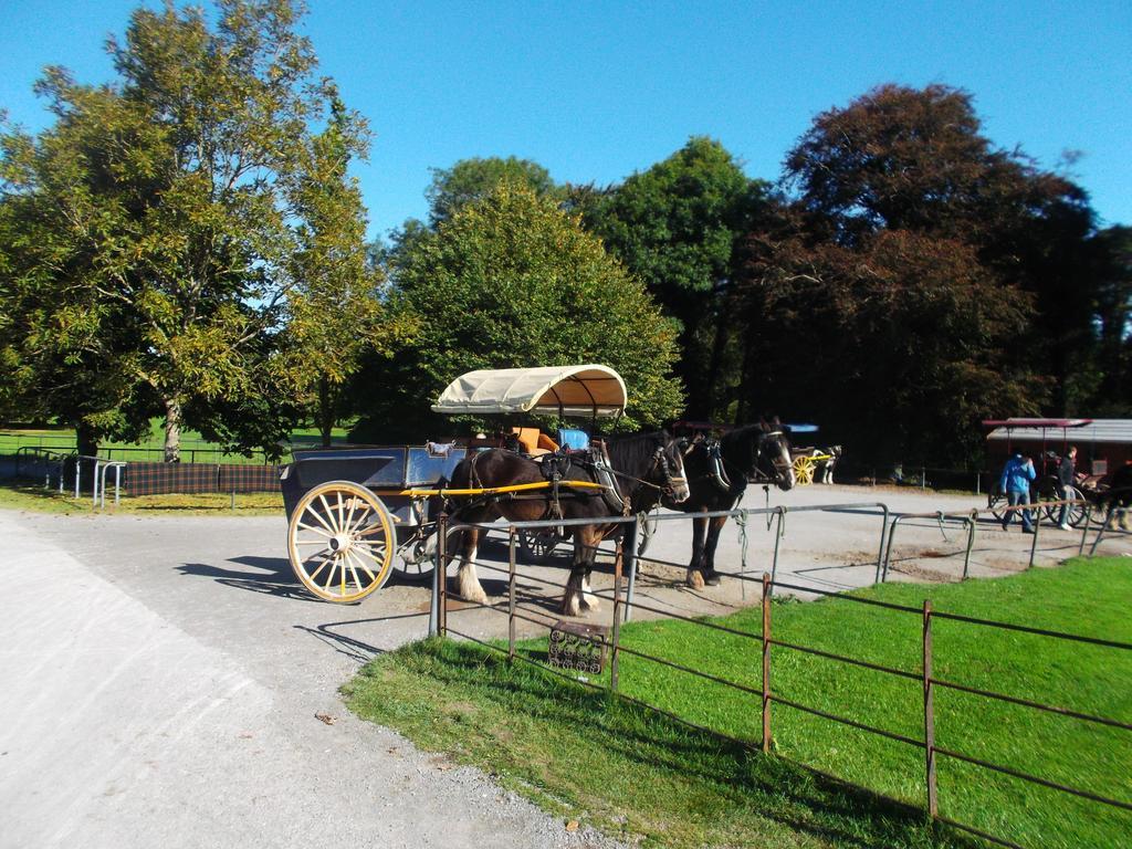 No 1 Killarney Holiday Village Vacation Home Ruang foto